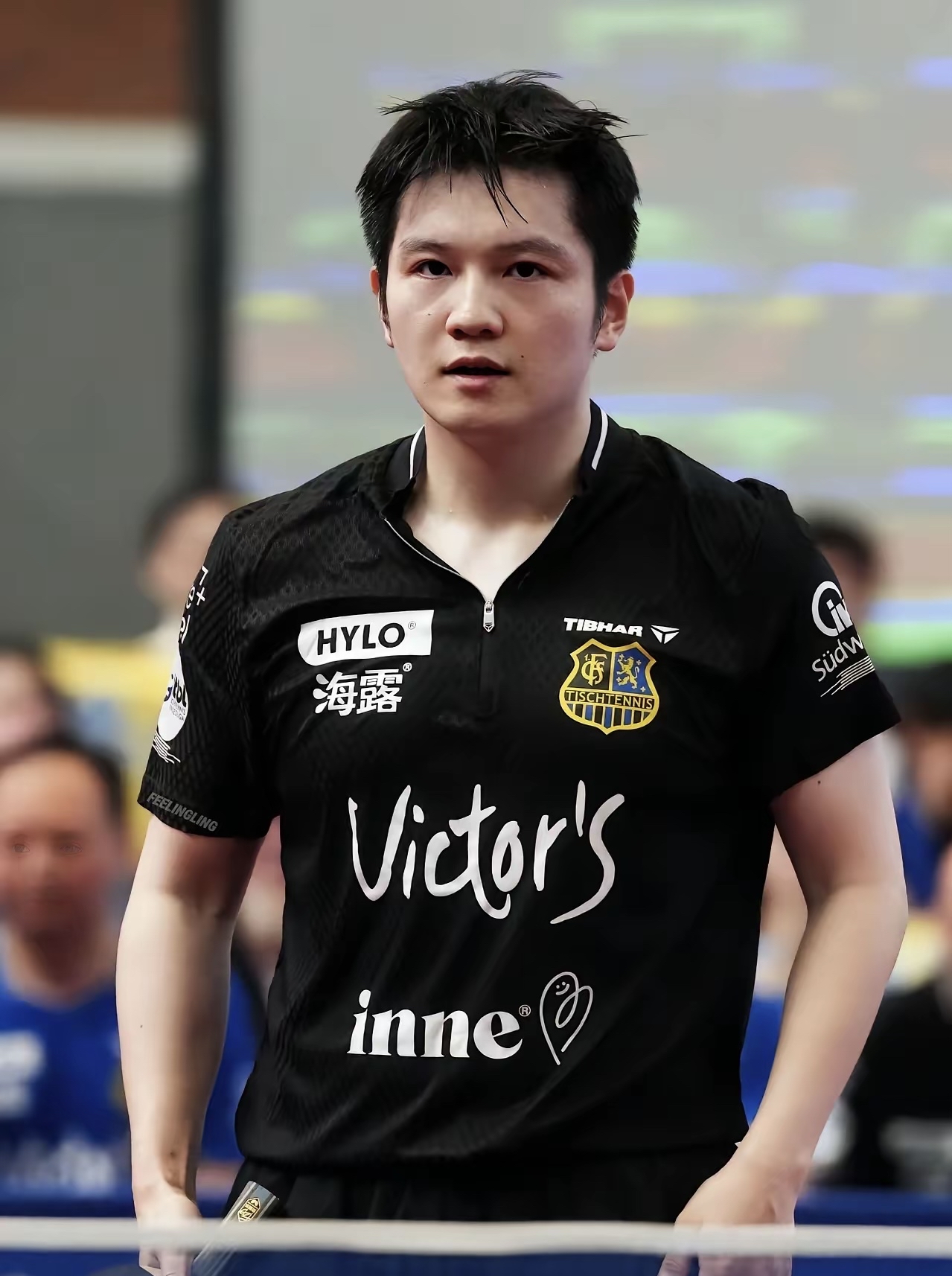 奥地利队横扫日本队,樊振东关键制胜 奥地利队横扫日本队,樊振东关键制胜